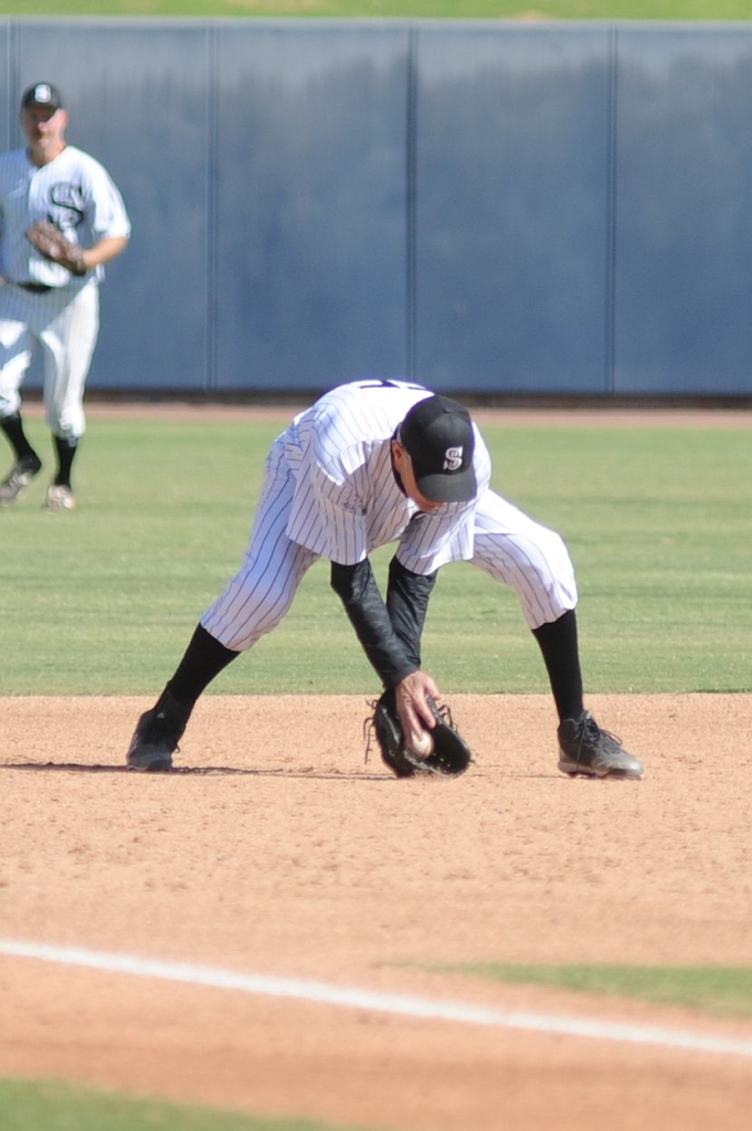 Seals_2017-10-08 (440).jpg - (c)2010 DeVetter